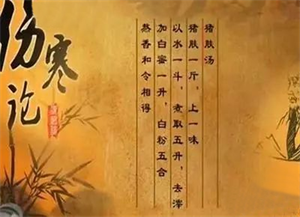 Wang Sanhu on Diet Therapy·Pork and Pig Skin の画像