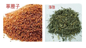 Tinglize Lacquer Soup の画像