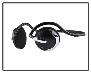 Show details for Ear Hook Earphones Picture of Ear Hook Earphones