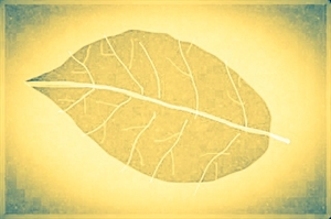 只有中华文化才能真正构建和谐世界 の画像