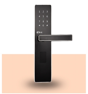 Show details for BlueNext Smart Bluetooth password security door lock Picture of BlueNext Smart Bluetooth password security door lock