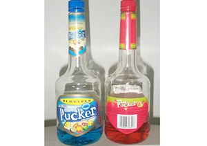 Picture of Infatable Bottle