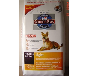 Image de Advertising Bag