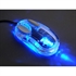 Picture of CLEAR MOUSE