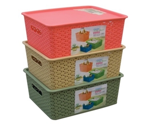 Image de Multi-using containing box(medium)