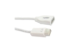 Picture of Mini DVI to HDMI A female Cable