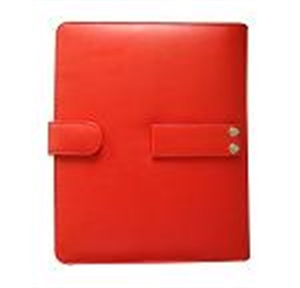 Picture of Leather Case for iPad