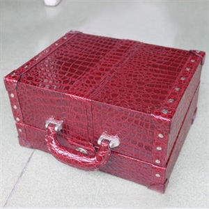 Picture of Bulb Case for Europe