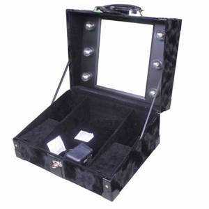 Agrandir l'image de Bulb Case for America Image de Bulb Case for America