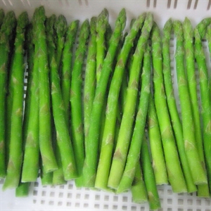 Picture of Frozen Green Asparagus