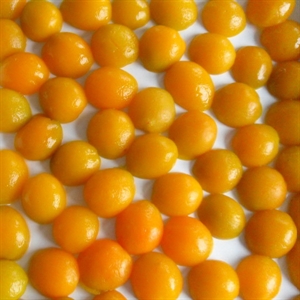 Image de Canned Apricot