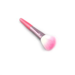 Изображение hs100